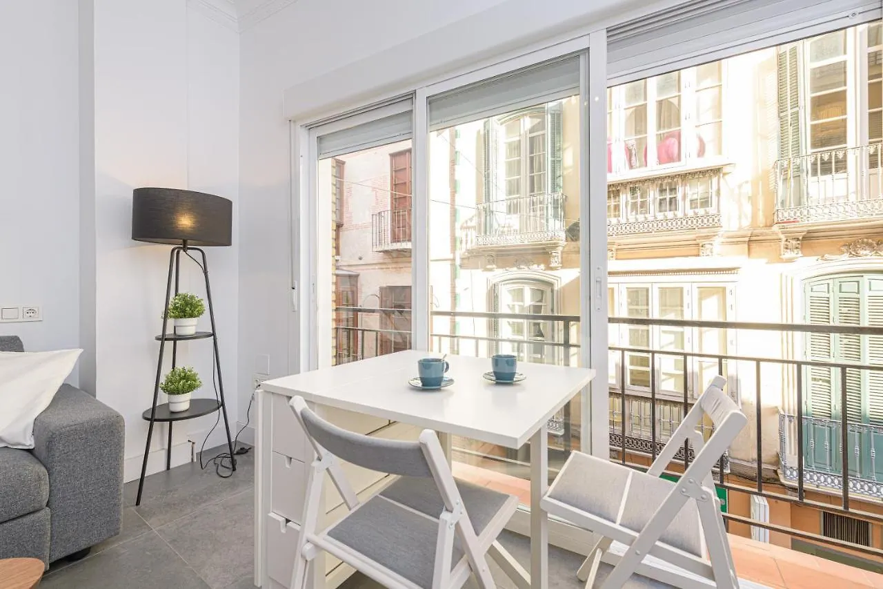 Fabuloso Apartamento Málaga Centro Histórico Calle Álamos